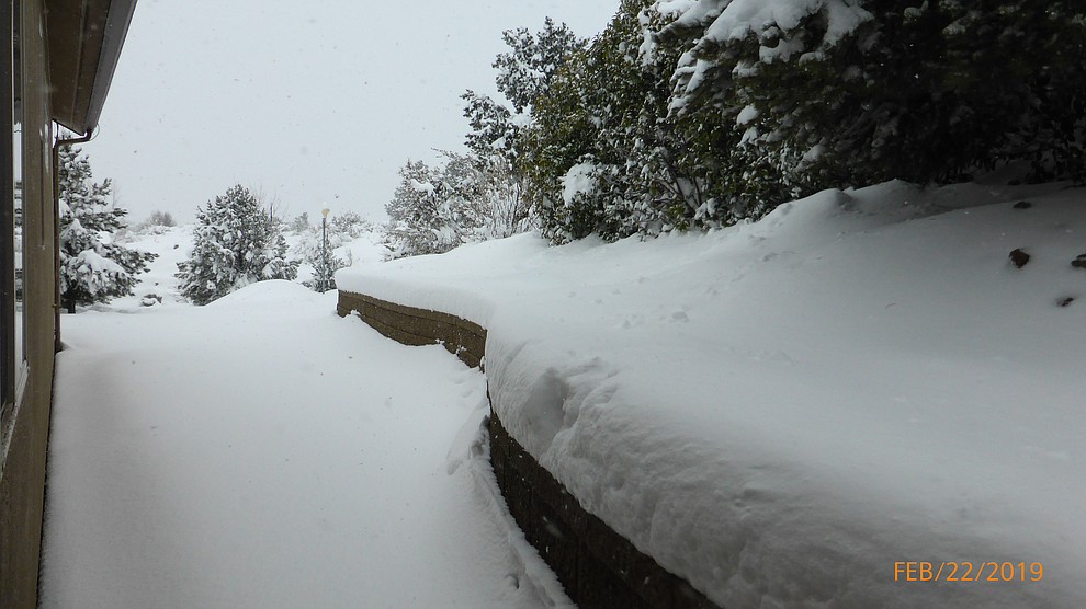 Taken from in my back yard. A good foot of snow by Art Protas