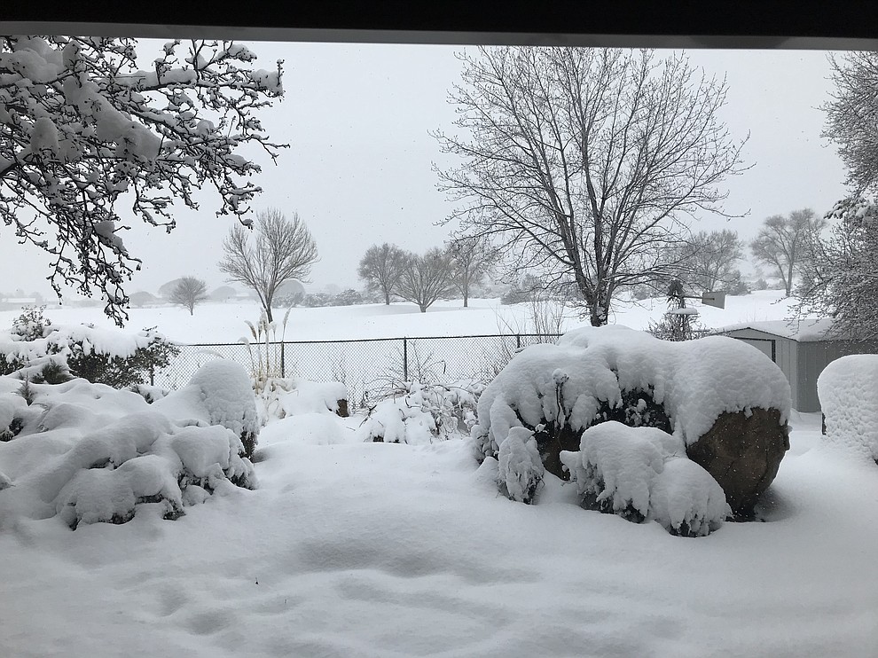 Fore....no golf at Antelope Hills 2.21.2019 (Linda Miller)