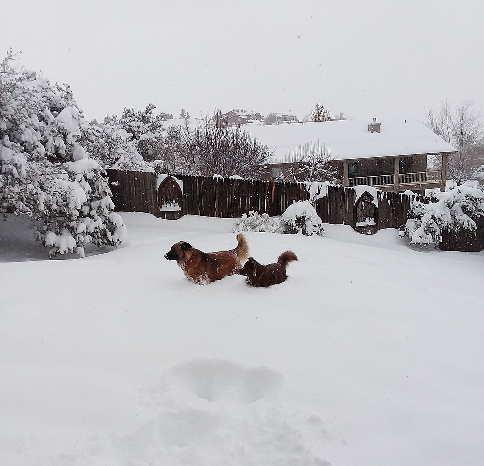 Willow.Armstrong and Jessie Armstrong playing away in the snow
