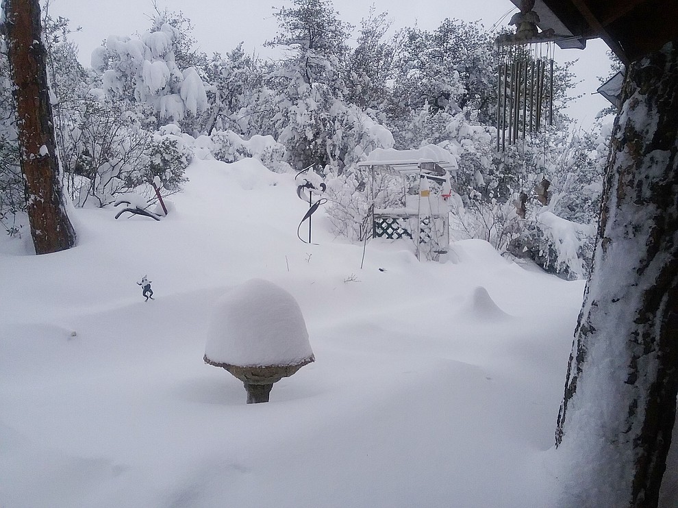 Back yard birdbath.....from Elinor Knox, Mt. Club