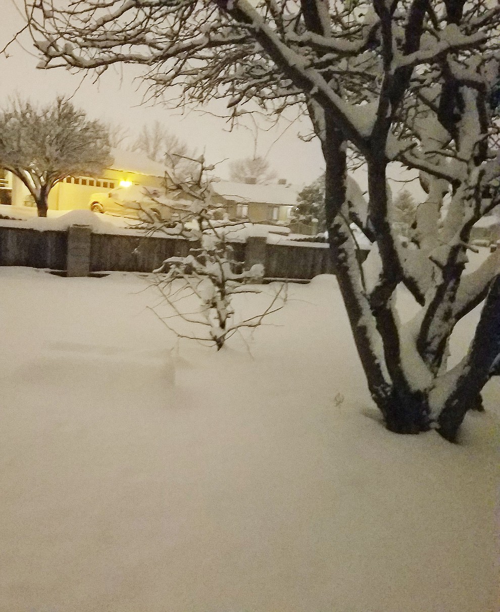 Our bench covered the snow. Prescott Valley.