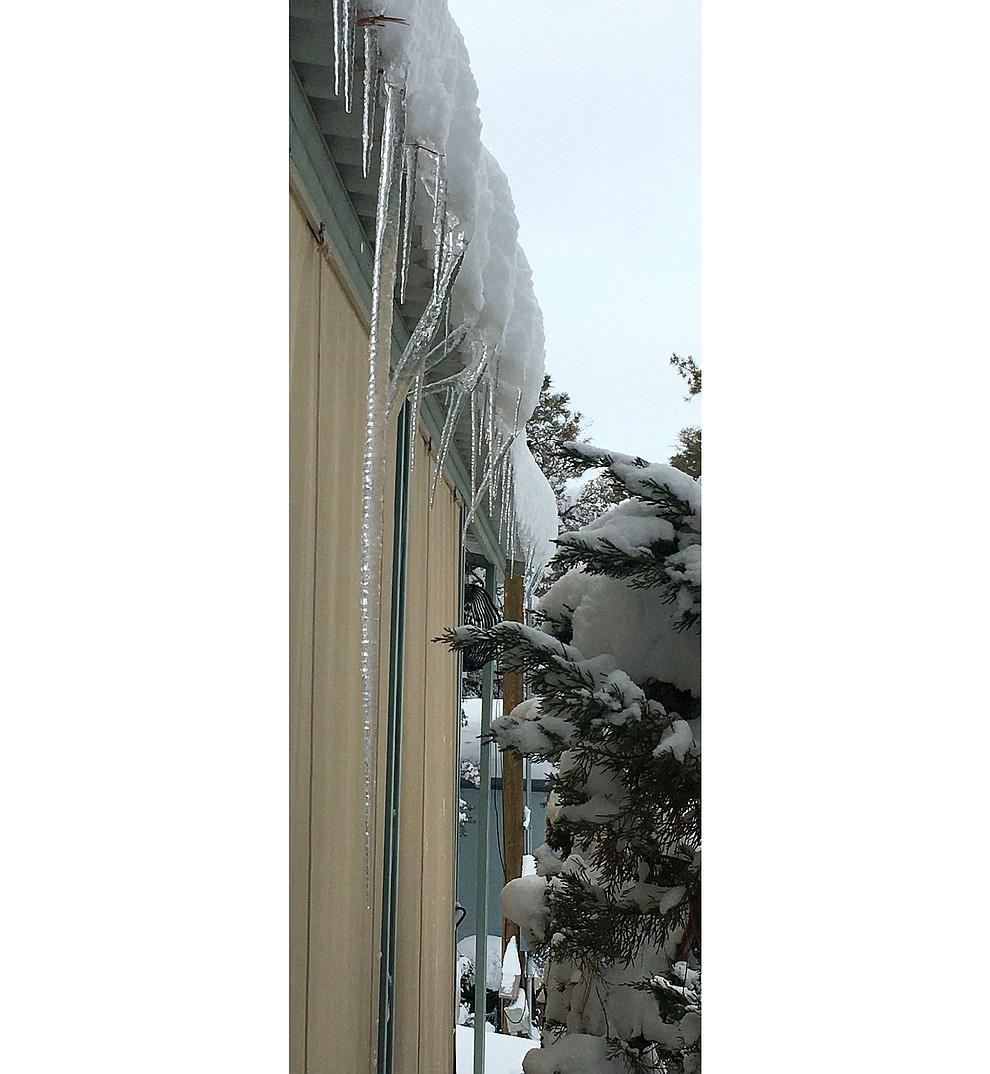 My record setting icicle. Icezilla
