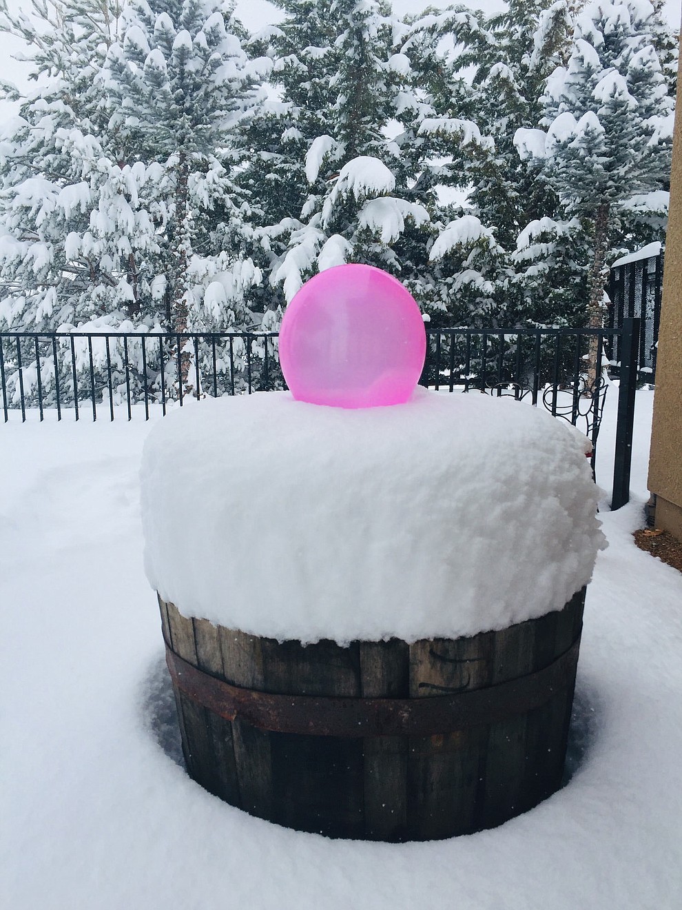 Prescott whiskey Barrel snow Cupcake! By Robin, yesterday, taken of whiskey barrel!