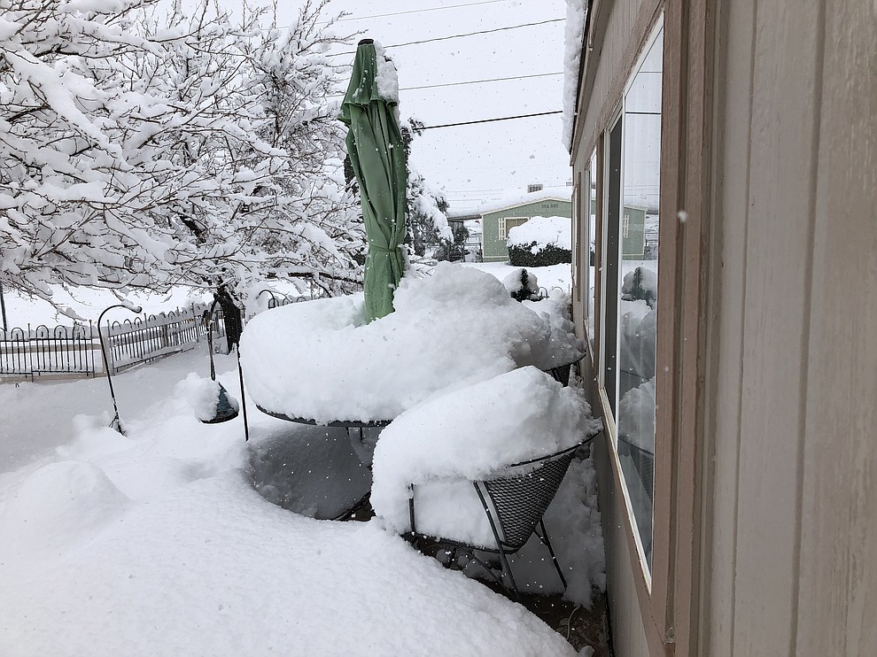 Backyard of snow. (Photo submitted by Lisa Selig)