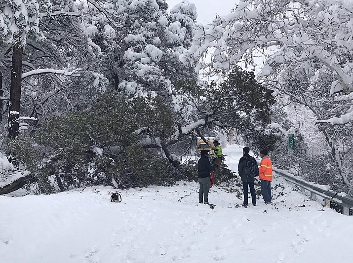A tree blocks SR-89A in Oak Creek Canyon. The tree is two miles south of Slide Rock State Park. DPS Troopers and Sedona Fire Department are working to remove the tree, although the road remains closed due to the winter storm. (AZDPS/photo)