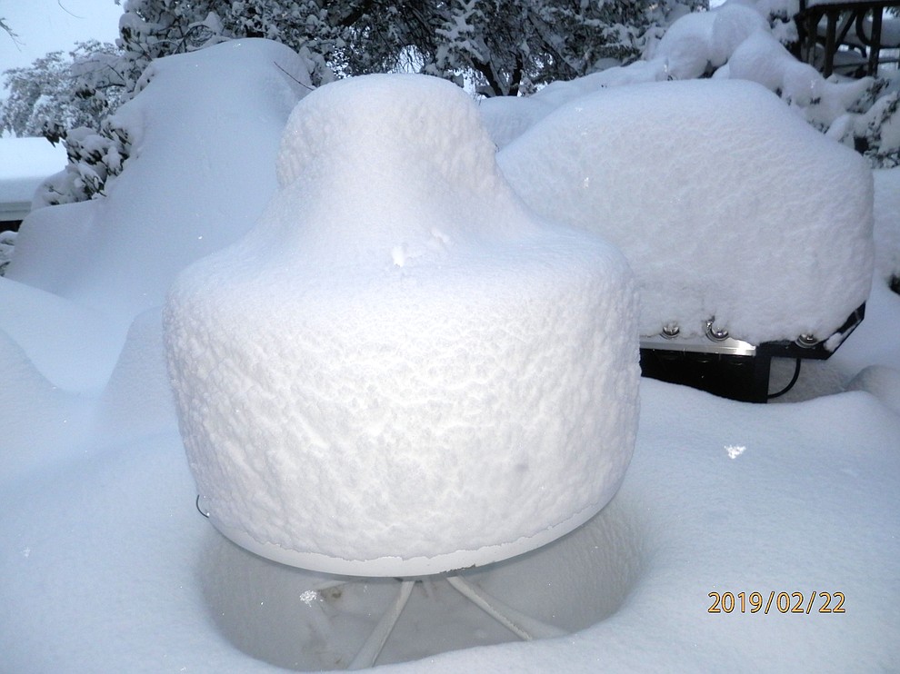 20 inches and counting. My "cake" gets getting taller and I do not think I shall be grilling today either.