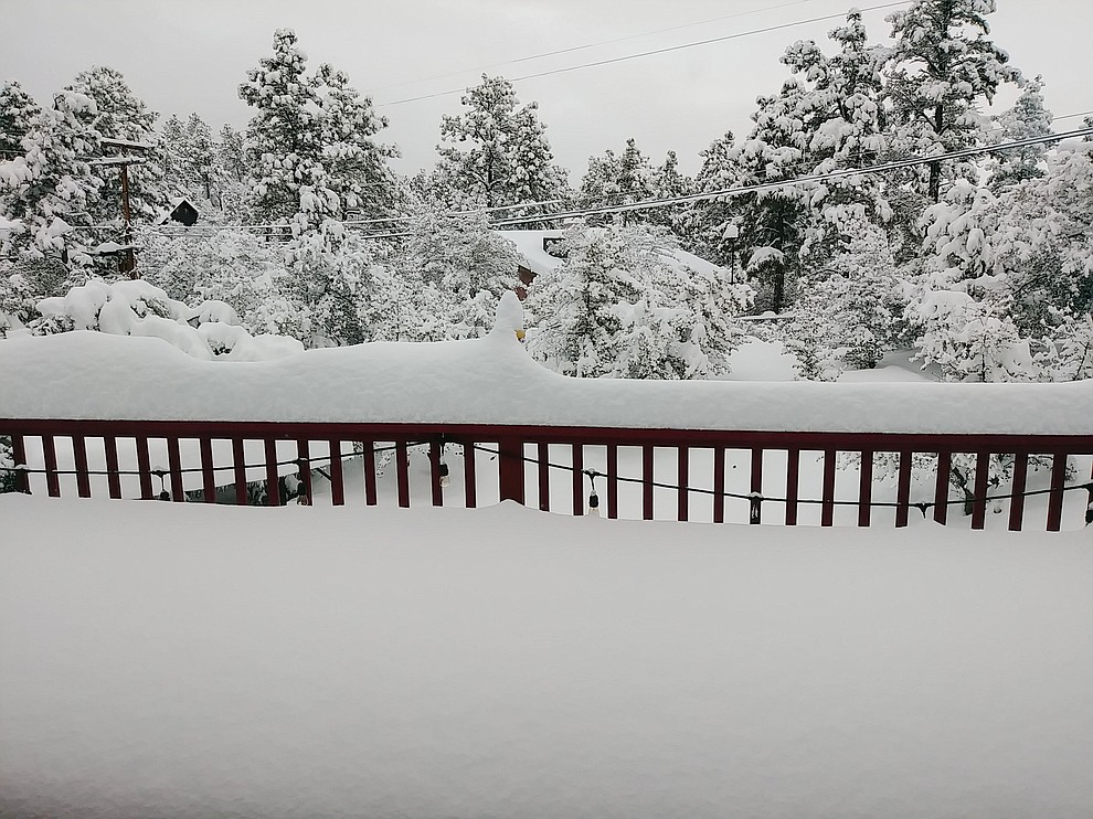 Back deck.