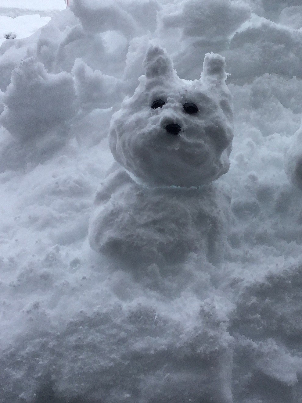 Snow Dog