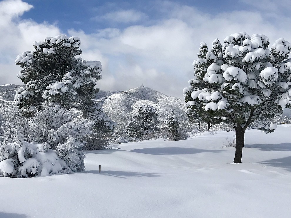 P-Mountain seen from Bar Circle A Rd