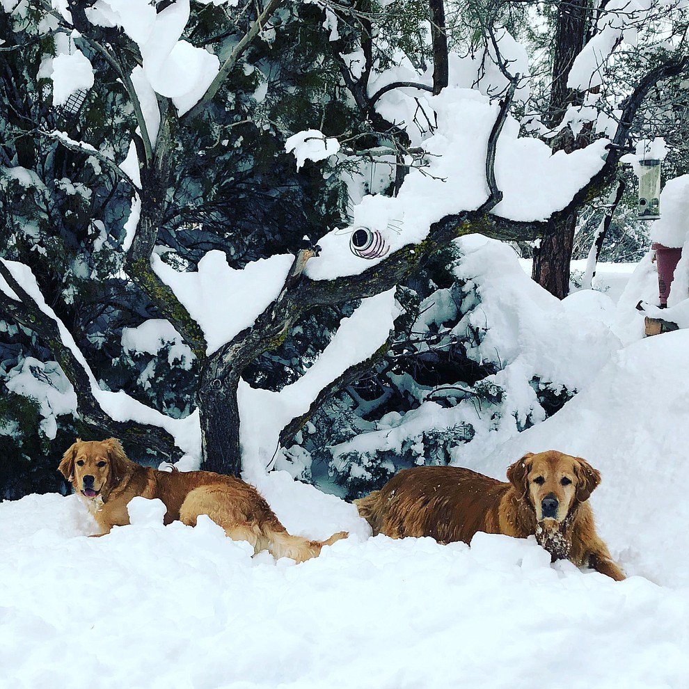 Mountain Club Mischief!