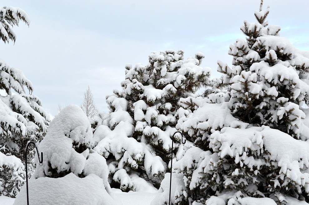 Snowstorm in Chino Valley 2/22/19