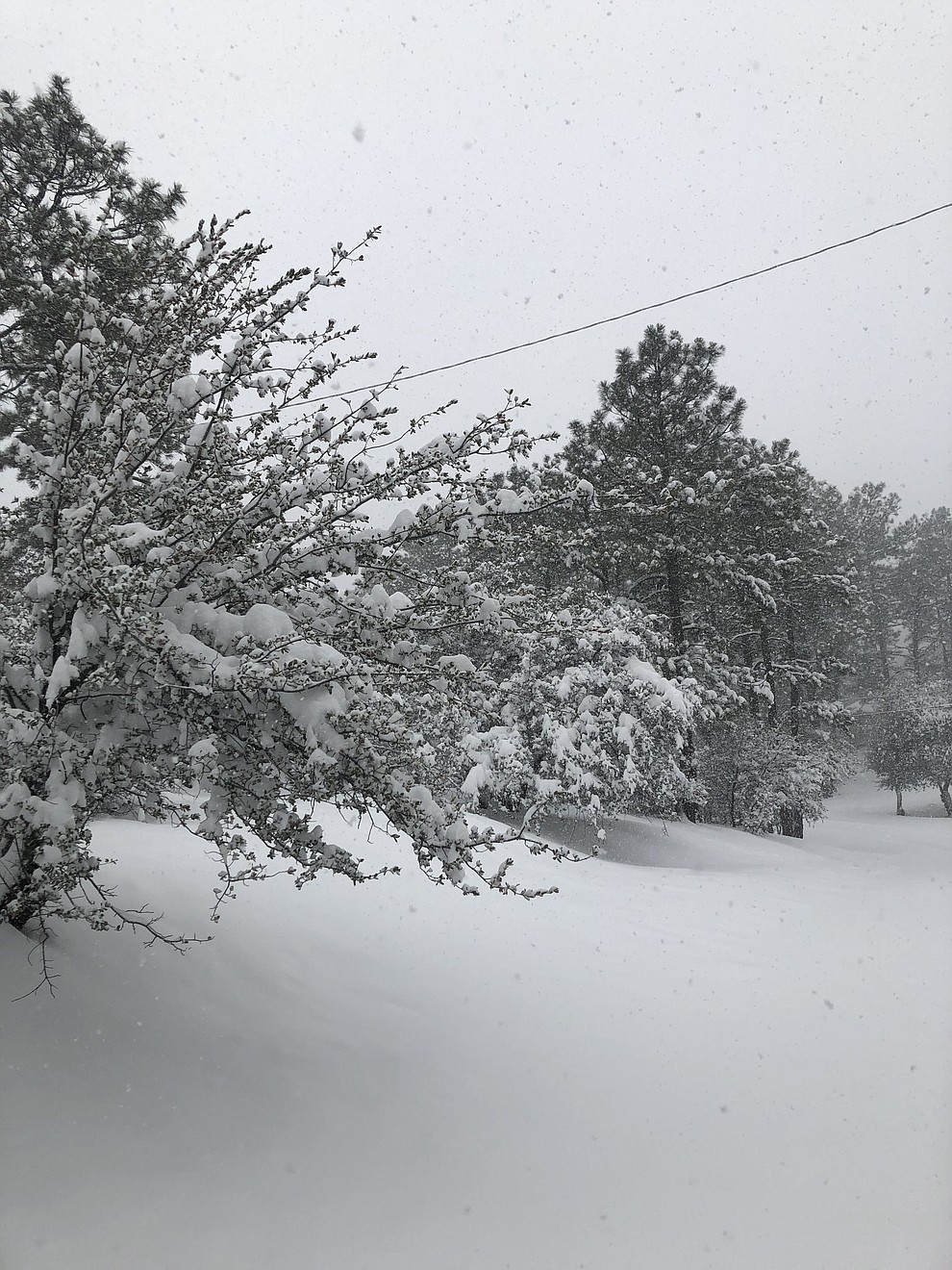 Taken in Mt. Club, Prescott Az. First day of the storm.