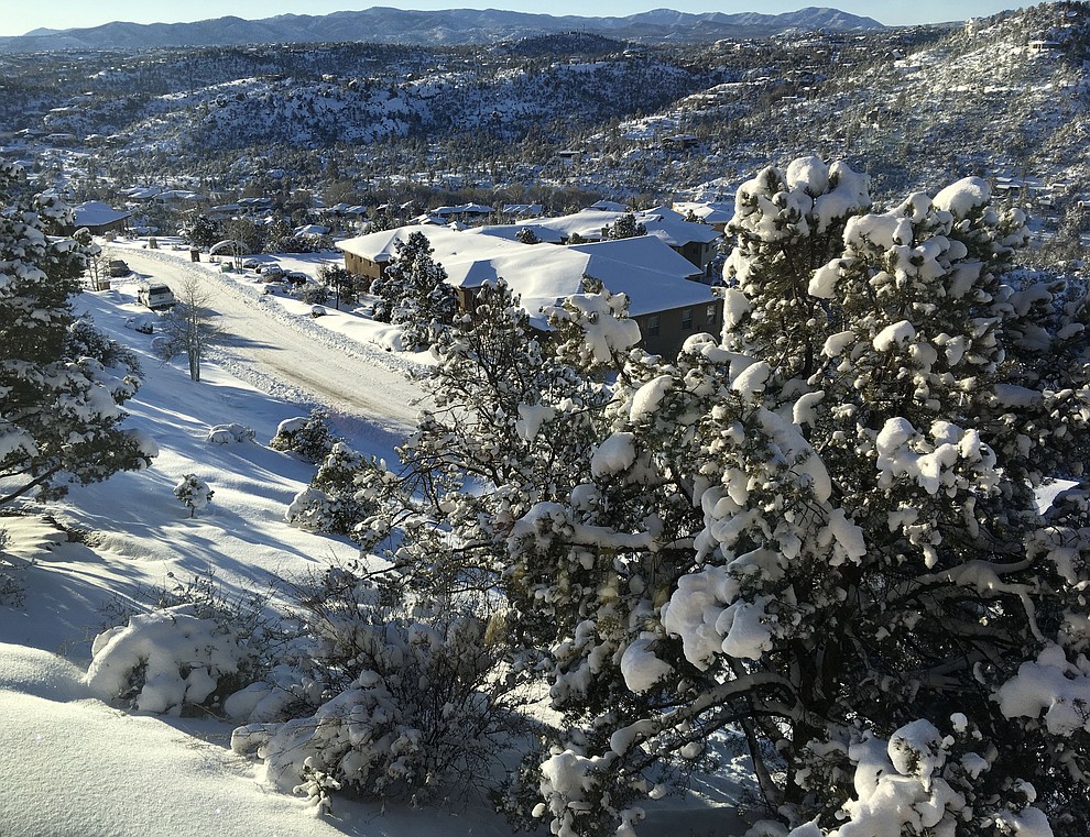 2019 Snowstorm the morning after..