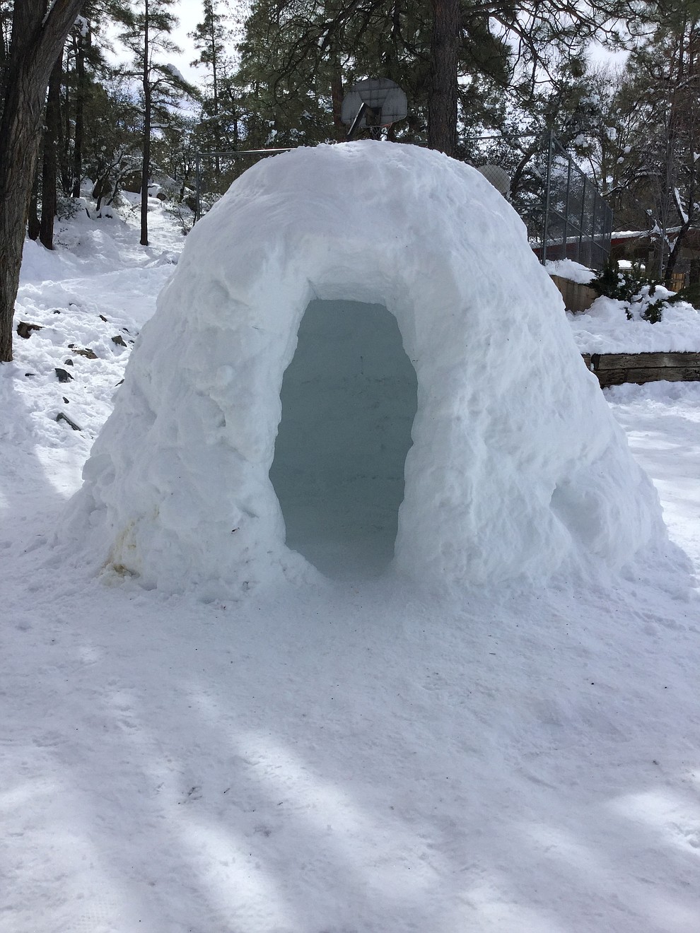 Flinn Park in Linwood Ave in Prescott.Saturday Fun In The Park.Teenagers haveing fun after the storm..A cozy about 6 ft. Igloo
