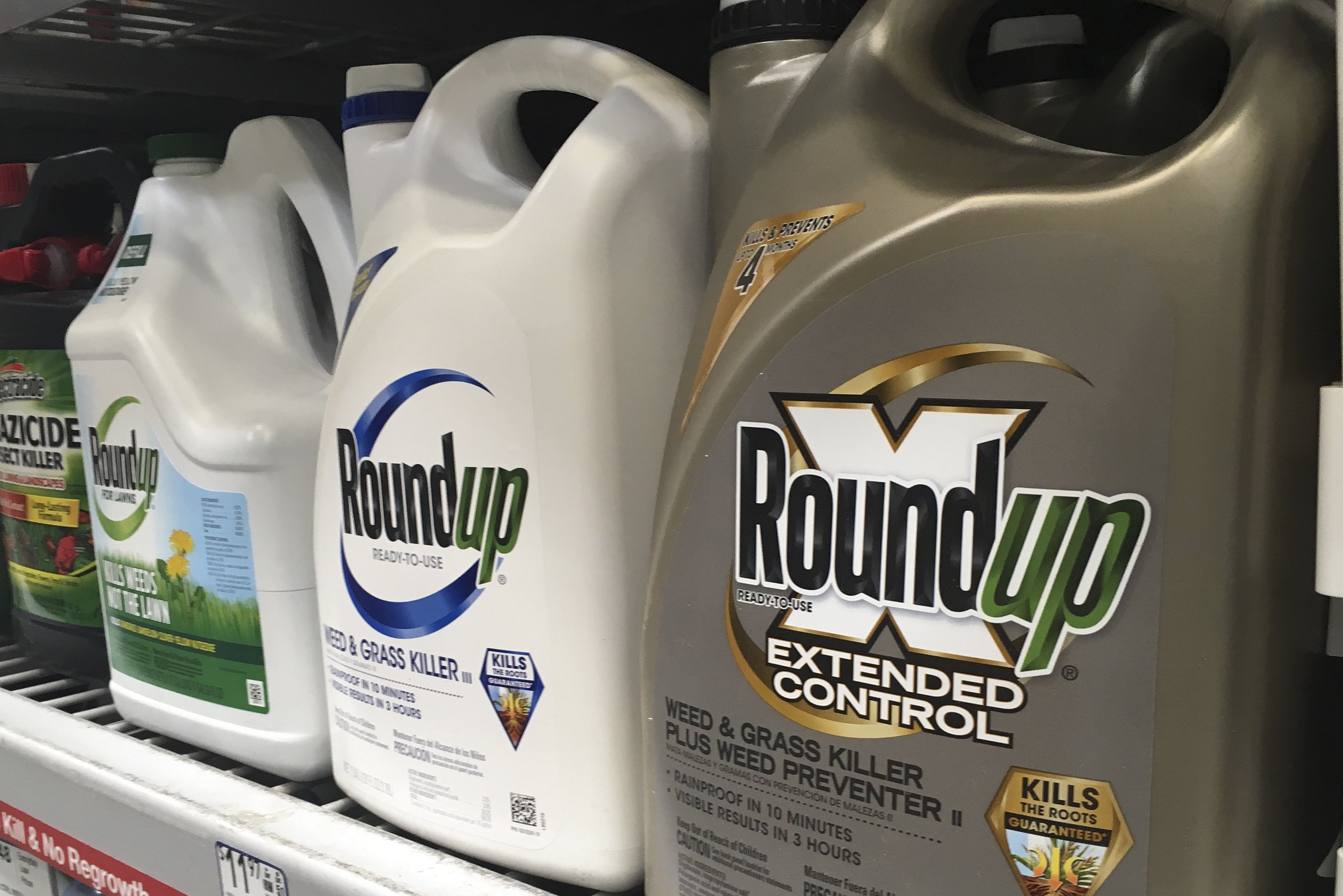 Highstakes trial starts in Roundup weed killer cancer claim The