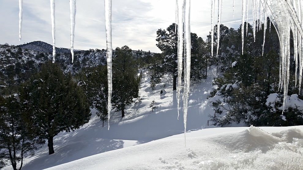 Morning icicle view