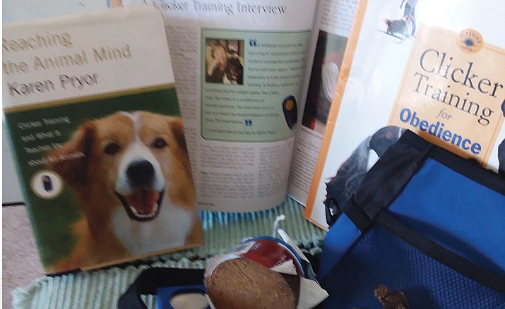 Positive reinforcement training – dogs love it