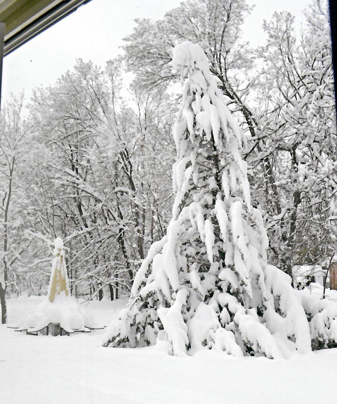 February 22nd of Canyon Run Senior Village Apartments after our historic snowfall.