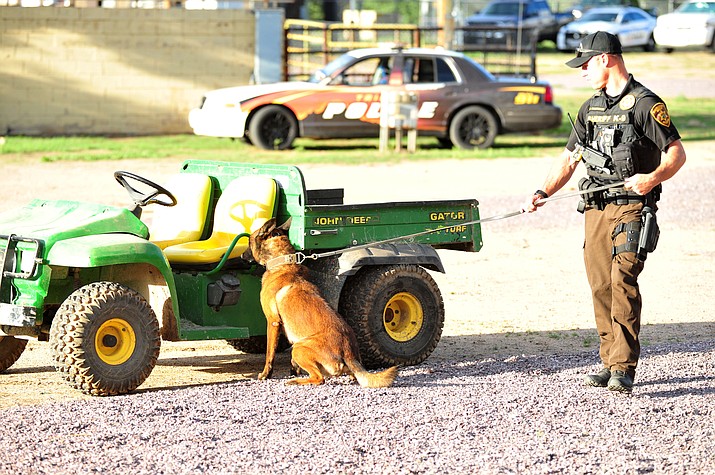 YCSO K9 handler Steve Warburton demonstrates a drug alert with his partner during a public demonstration at the Prescott Rodeo Grounds Tuesday, July 17, 2018, for the 26th annual Canine Survival Seminar at Yavapai College. (Les Stukenberg/Courier)