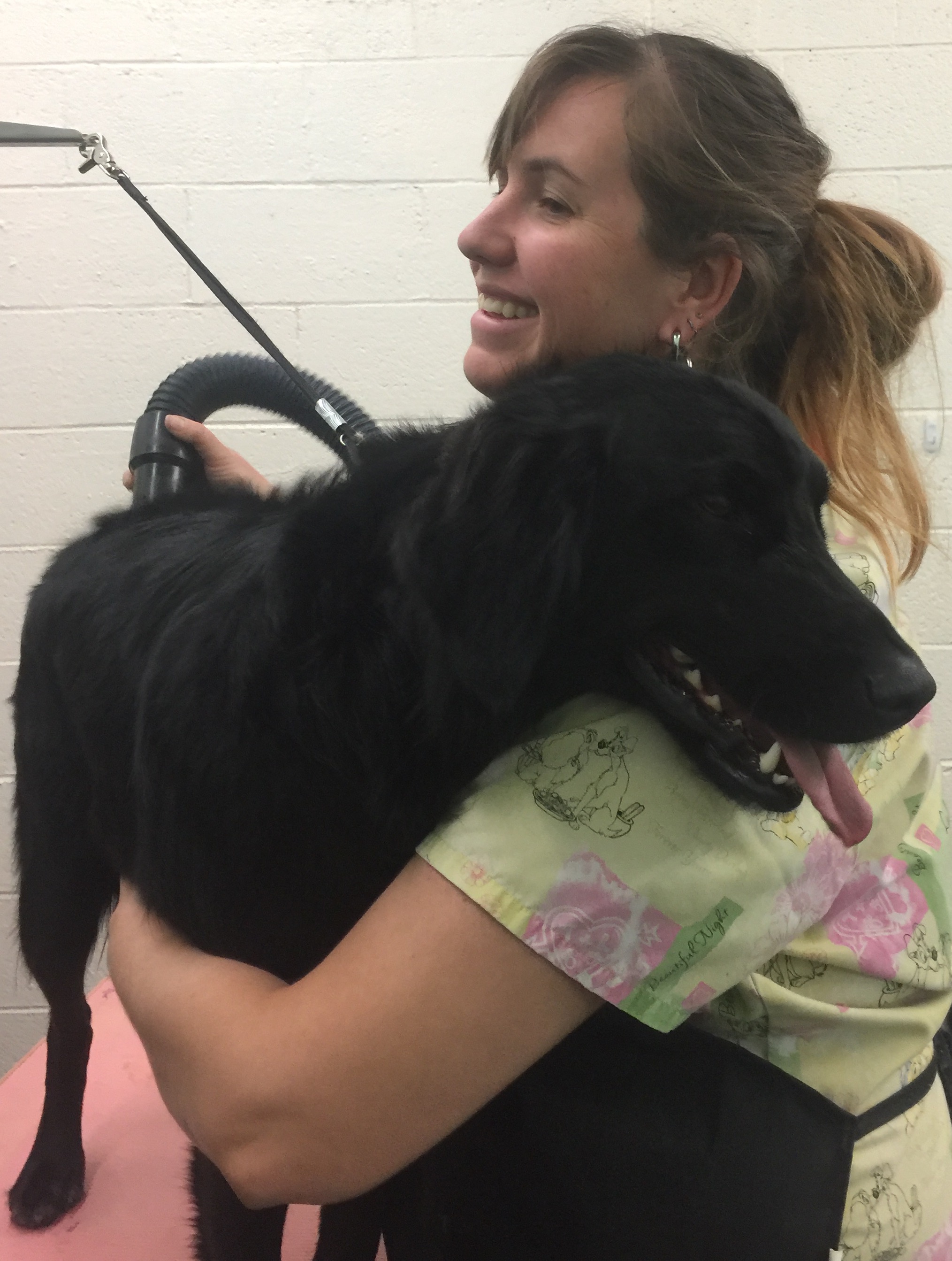 The Rock of The Paw Spa Kingman Daily Miner Kingman, AZ