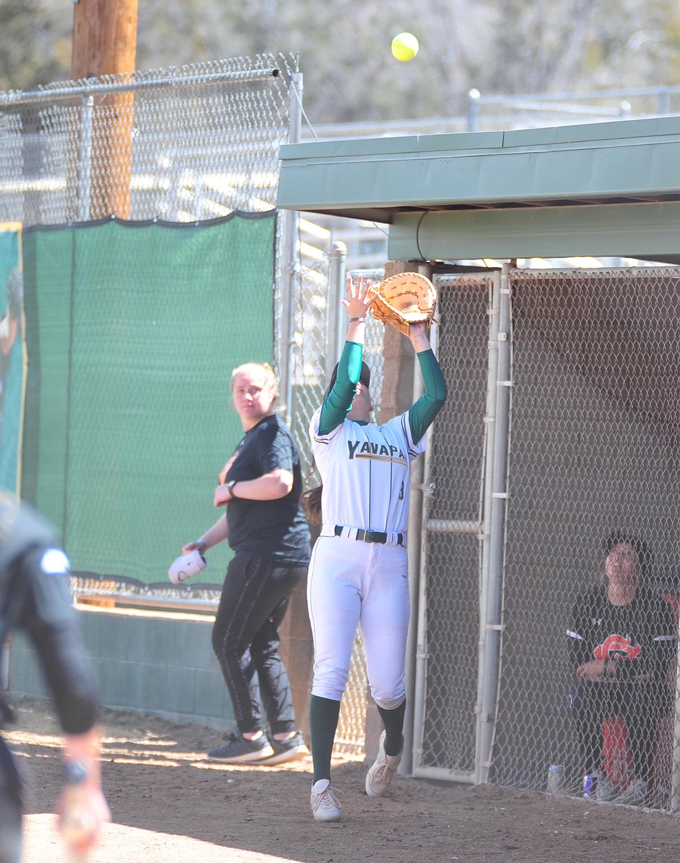 Yavapai's Jessica Giacoma makes the catch at the dugout fence as the Roughriders take on the Chandler Gilbert Coyotes Tuesday, March 19, 2018 in Prescott.