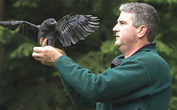 Keynote speaker John Marzluff will lead trips and present a talk about human’s effects on birds, including excerpts from his most recent book, Gifts of the Crow: How Perception, Emotion, and Thought Allow Smart Birds to Behave Like Humans.