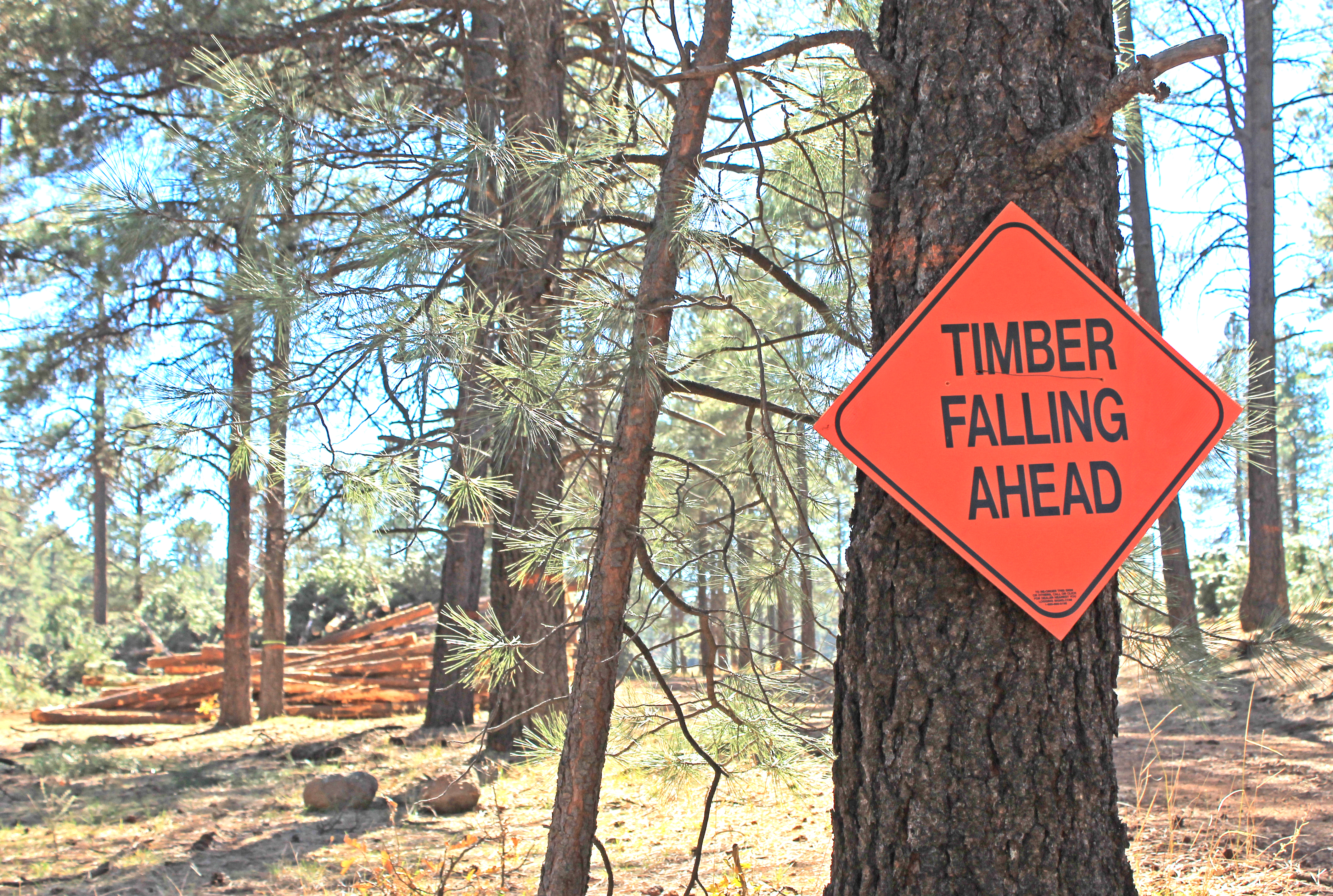Logging Road Sign Logging Operation Work Zone Signs TIMBER FALLING AHEAD.