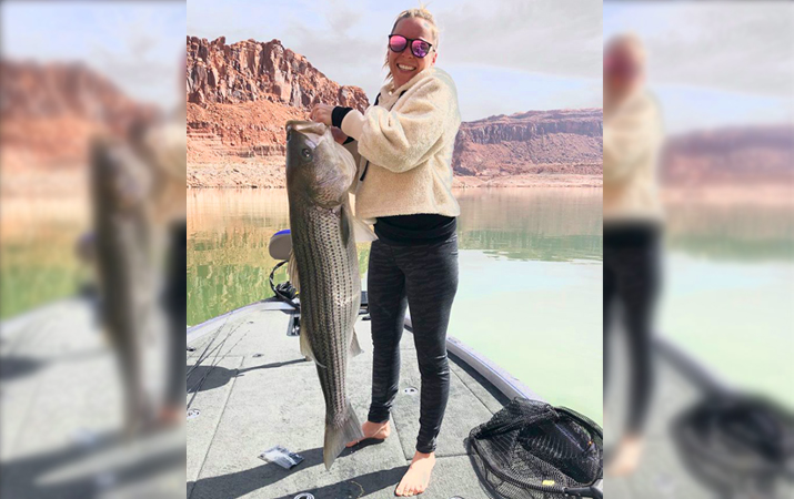 Trophy bass caught in Lake Powell as season ramps up