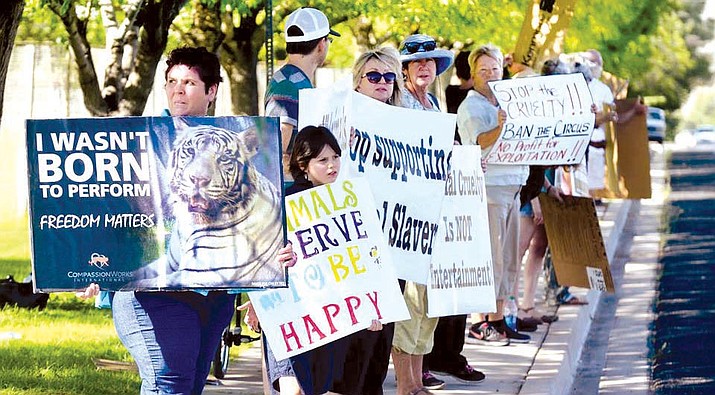 This isn’t the first time BEATCA leader Karen Melillo has organized a circus protest. In September, she rallied other like-minded activists to protest the Jordan World Circus at the Verde Valley Fairgrounds. Melillo calls traveling circuses troubling and cruel to the animals involved. VVN/Vyto Starinskas