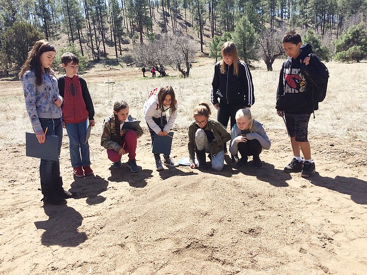 A group of Granite Mountain students looks at an oversized anthill not far from the Granite Creek. (Nanci Hutson/Courier)