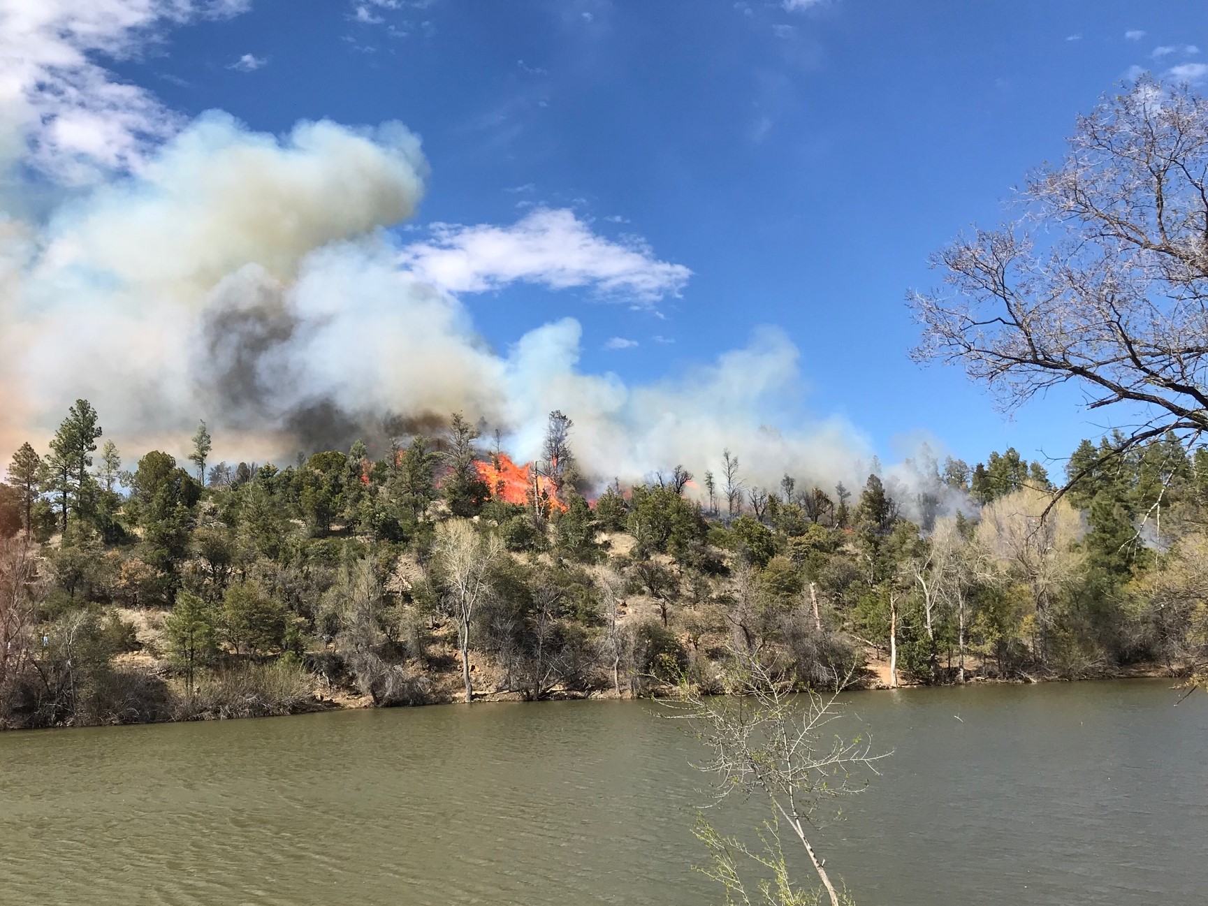 Authorities evacuate Lynx Lake area due to wildfire The Daily Courier