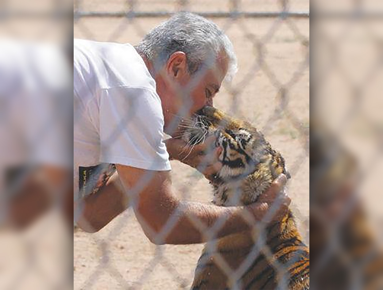 Wild Animal Park Kingman Az