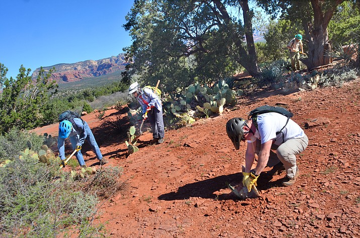 Volunteers and Coconino Forest Service trail crews turn out for the last volunteering day of this season. The first year of the construction of the trails on the Western Gateway Trail System has been completed. VVN/Vyto Starinskas