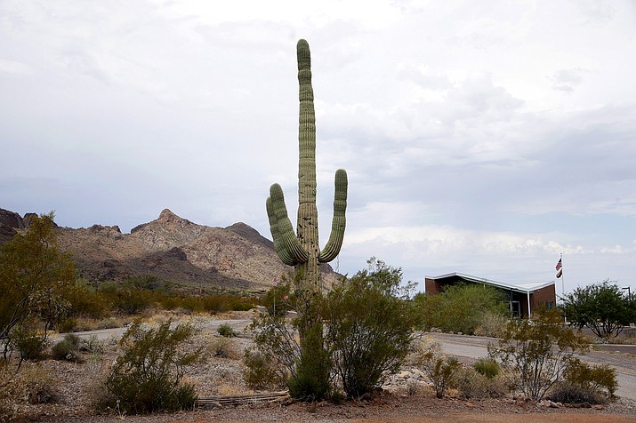A lone saguaro looms over the entrance of the Picacho Peak State Park in Picacho on Friday, July 31, 2015. Authorities say no charges are anticipated after a teenage Boy Scout died on Saturday, April 27, 2019, while on a troop hiking trip at Picacho Peak State Park, between Phoenix and Tucson. (Ross D. Franklin/AP, file)
