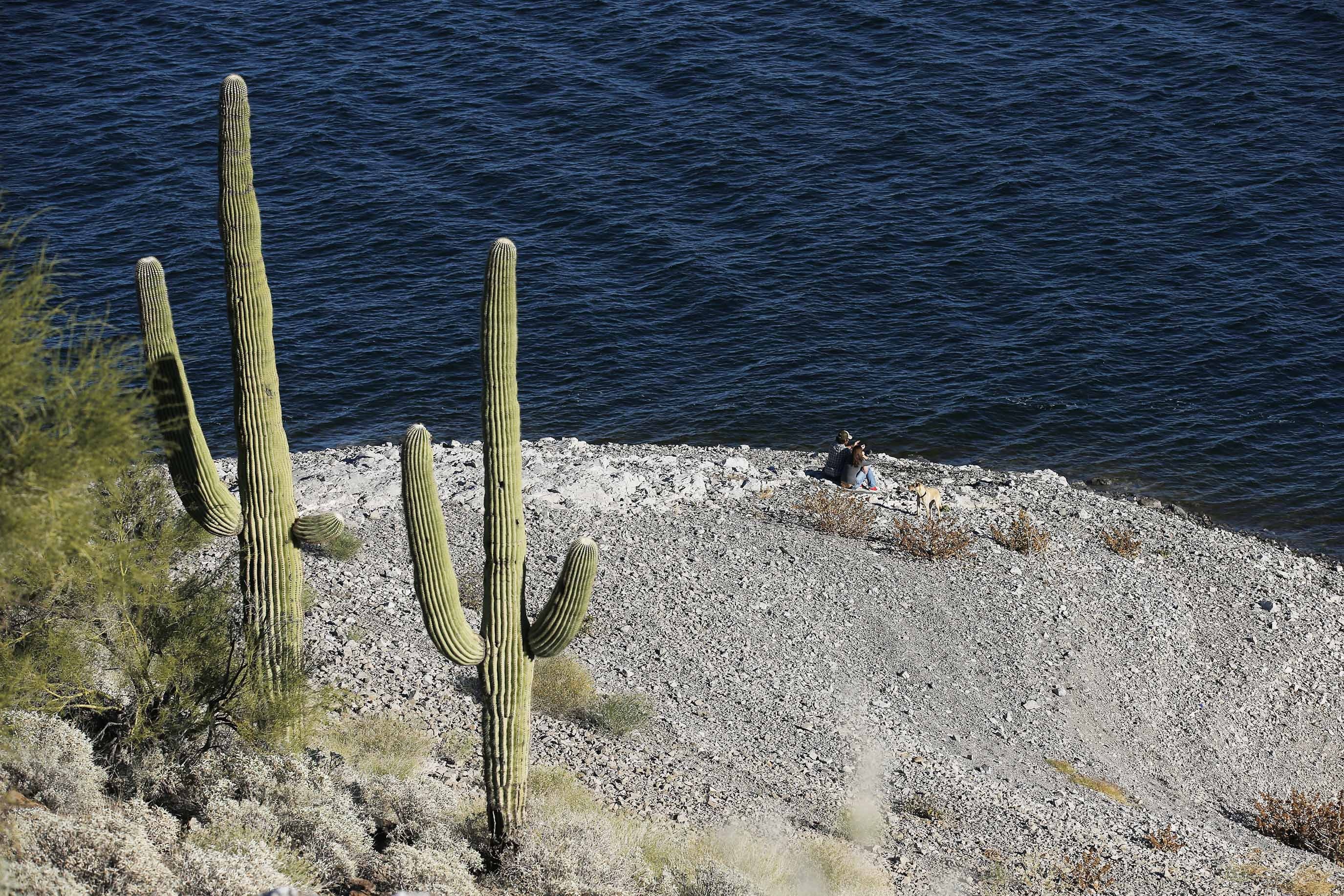 Authorities searching for a missing diver at Lake Pleasant  The Daily Courier  Prescott, AZ