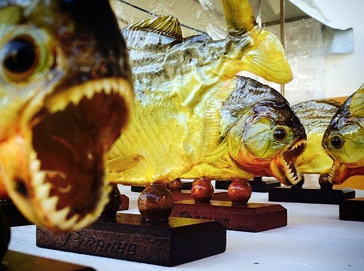 This 2014 file photo shows mounted piranhas at a market in Curitiba, Brazil. A famous South American chef was stopped as he brought 40 frozen piranhas in a duffel bag through Los Angeles International Airport recently. Virgilio Martinez, chef-owner of Central restaurant in Peru, says he hoped to serve the sharp-toothed fish during an LA food festival. Customs agents eventually let Martinez through with the piranhas. He used them that night on a salad. (AP Photo/Raul Gallego Abellan, File)
