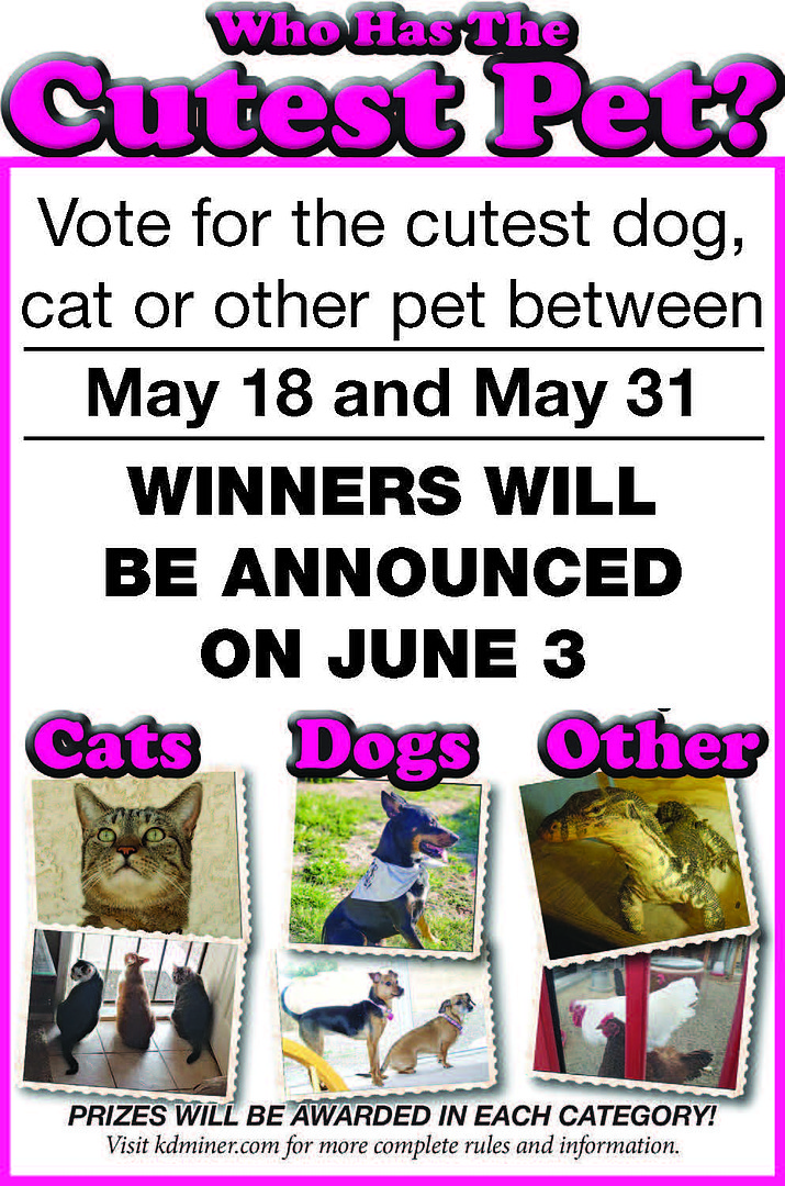 Cutest Pet Contest 2019 Kingman Daily Miner Kingman, AZ