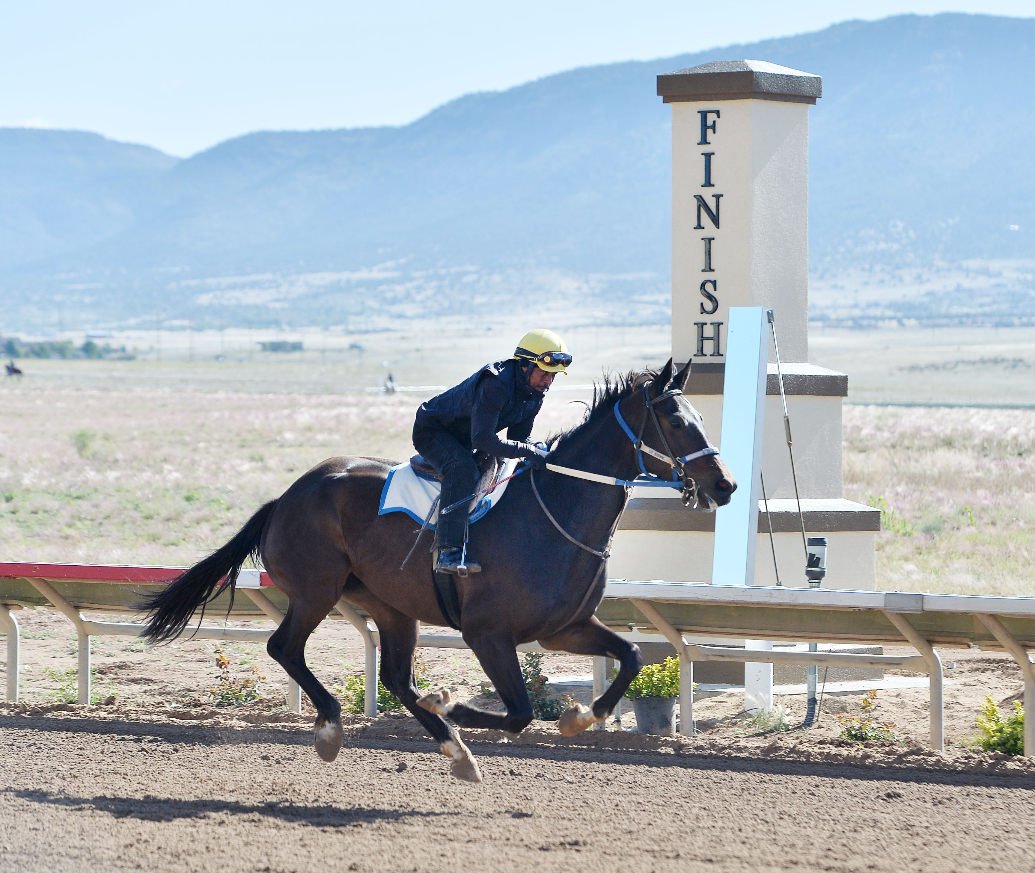 Off to the Races Arizona Downs celebrates grand opening with Memorial