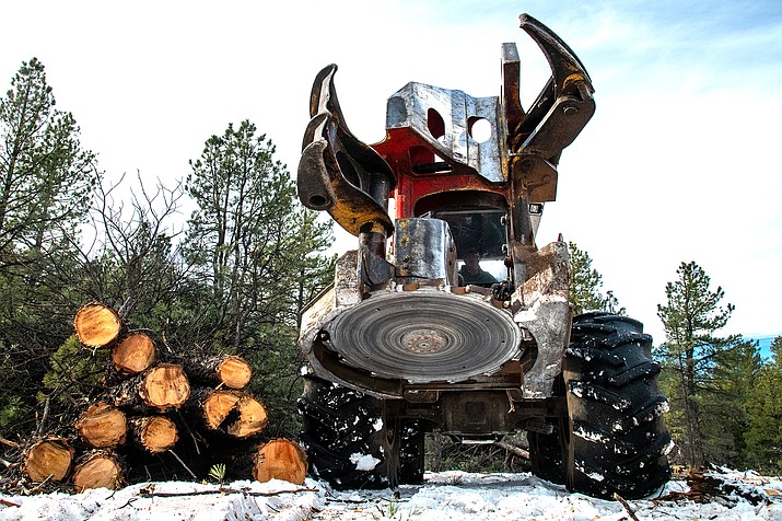 James Perkins, of Perkins Timber Harvesting, operates a feller buncher to remove trees on the Williams Ranger District’s Isham Task Order, in December 2018. The Isham Task Order is part of the Four Forest Restoration Initiative. (Photo/Kaibab National Forest)