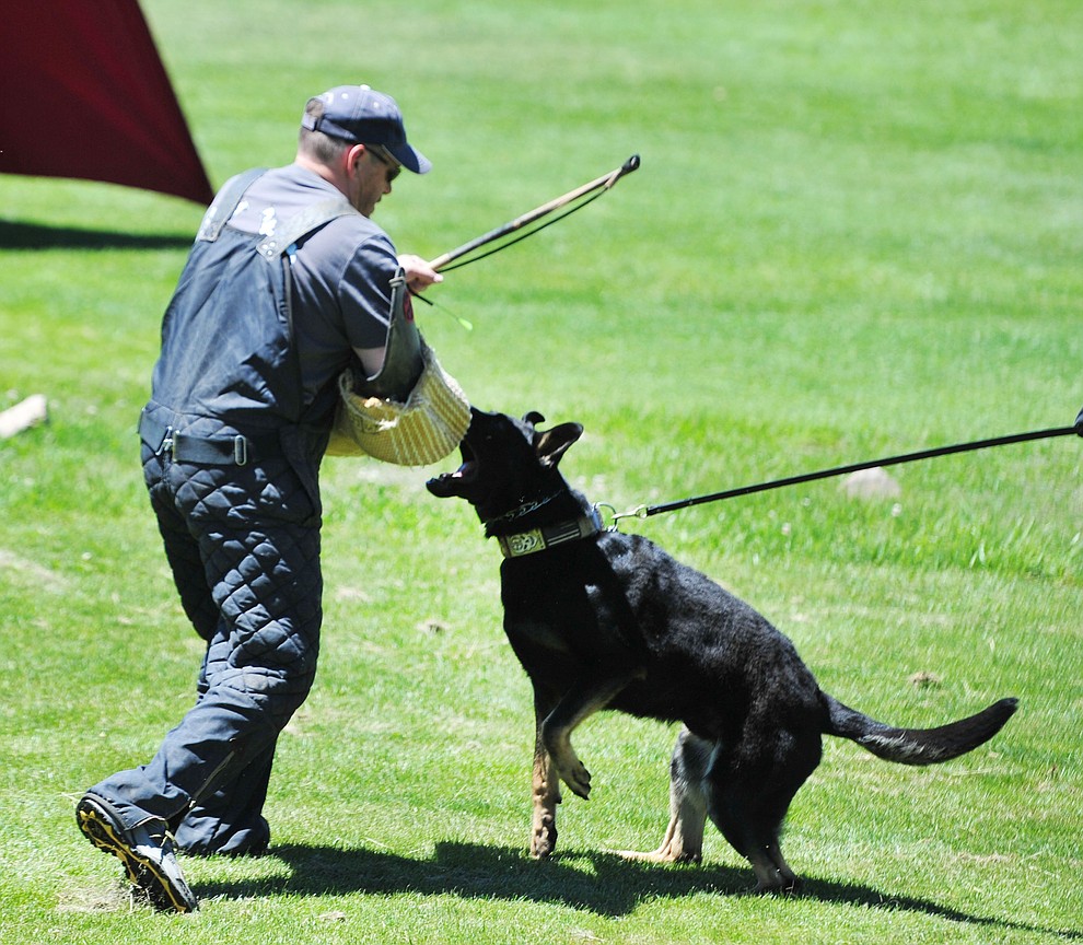 Ray Farber of Farbenholt Dog Training works with Trigger at Woofstock at the Civic Center in Prescott Valley Saturday, June 8, 2019. (Les Stukenberg/Courier)