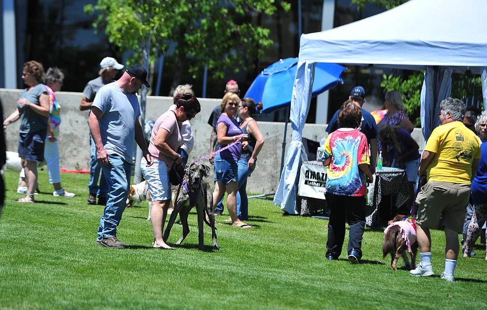 People browse adoption alley looking for rescue dogs at Woofstock at the Civic Center in Prescott Valley Saturday, June 8, 2019. (Les Stukenberg/Courier)