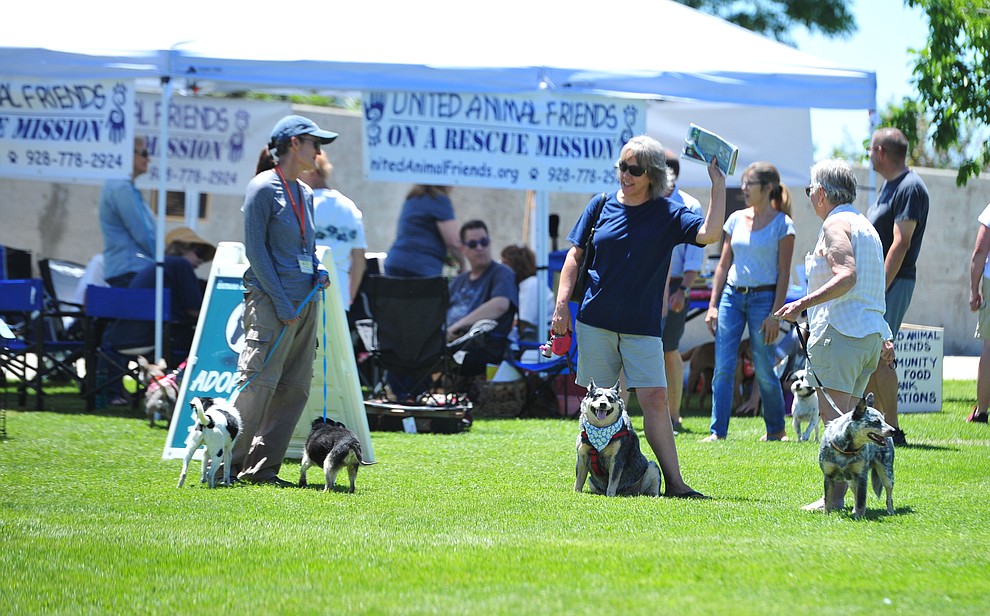 People browse adoption alley looking for rescue dogs at Woofstock at the Civic Center in Prescott Valley Saturday, June 8, 2019. (Les Stukenberg/Courier)