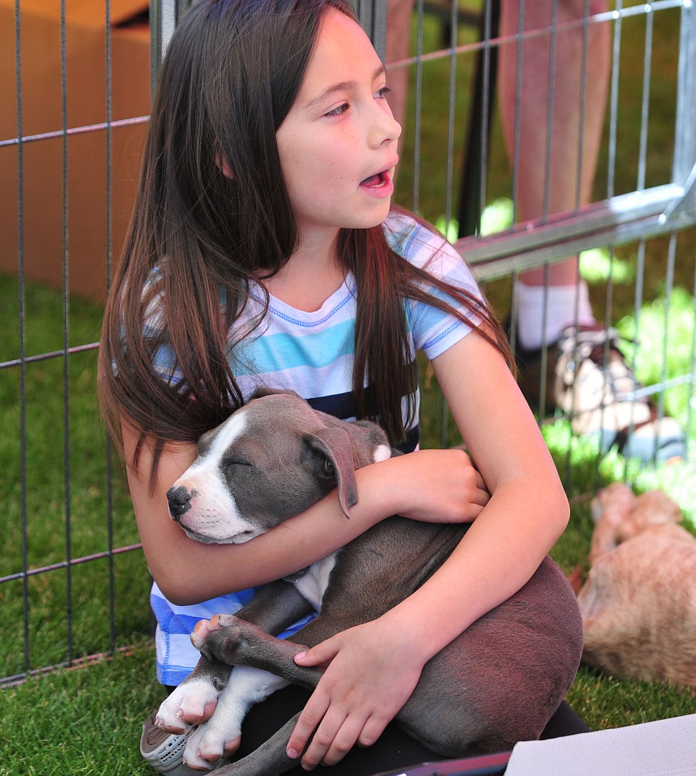 Cienna Mosher holds onto a puppy from Pets Return Home at Woofstock at the Civic Center in Prescott Valley Saturday, June 8, 2019. (Les Stukenberg/Courier)