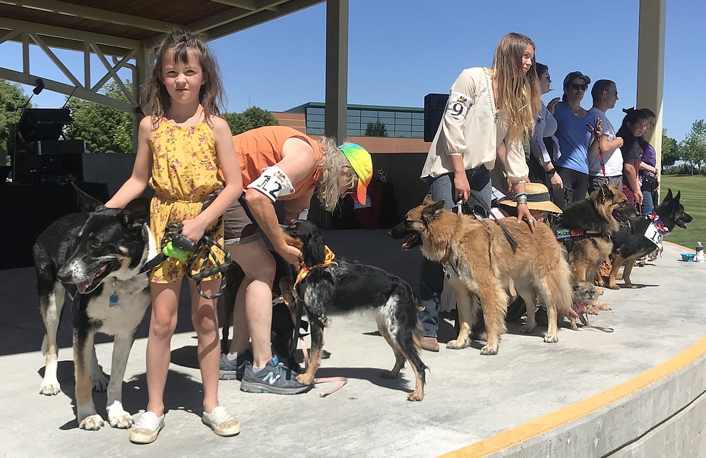 Contestants enter their dogs in the "best looking dog contest" at Woofstock at the Civic Center in Prescott Valley Saturday, June 8, 2019. (Les Stukenberg/Courier)