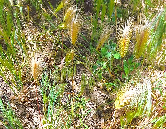Photo detail