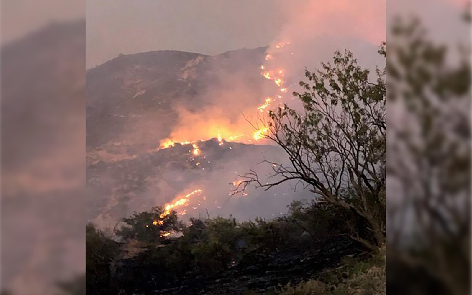 Excessive heat in Arizona has experts predicting wildfires through fall