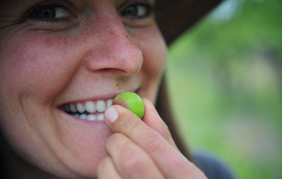 Tierney Routson enjoys the fruit of their label at the Stoic Cider orchard and bottling facility Tuesday, May 29 in Williamson Valley northwest of Prescott. (Les Stukenberg/Courier)