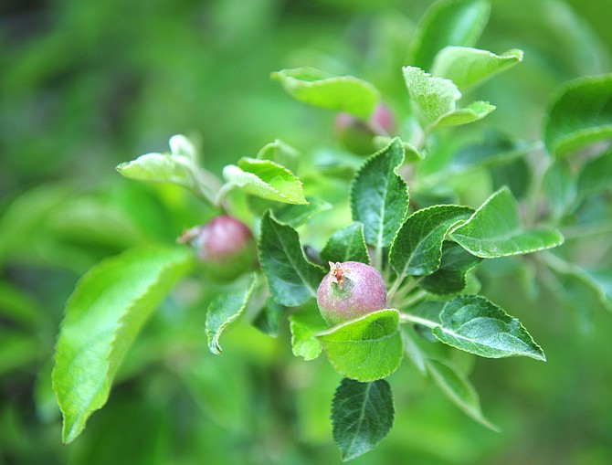 Photo detail