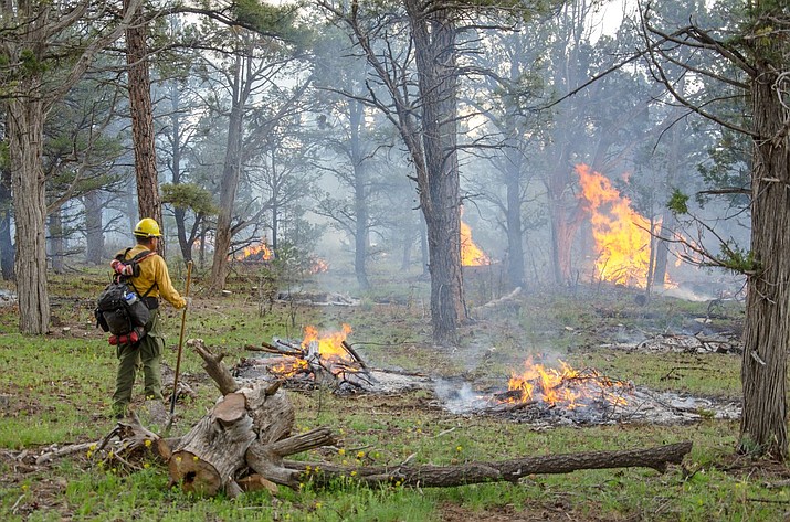 Prescribed burns are part of a strategic fire management plan at Grand Canyon National Park. (Photo/NPS)
