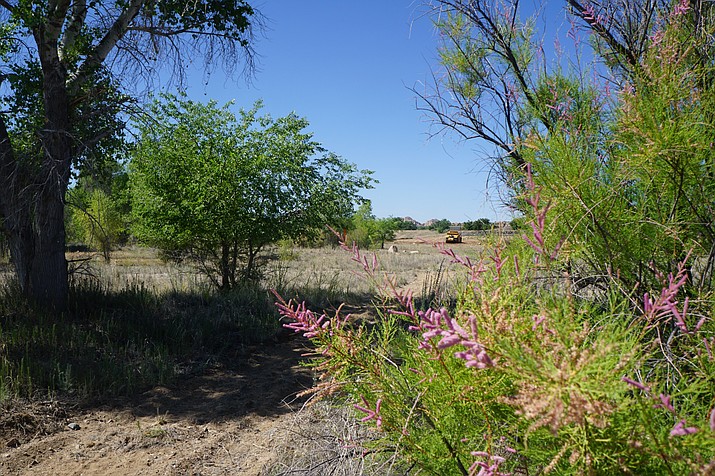 Construction is underway on a new public recreational trail through the Walden Ranch subdivision, which also is in the construction phase. Once complete, the trail will connect the Constellation Trail area with the Peavine Trail. (Cindy Barks/Courier)